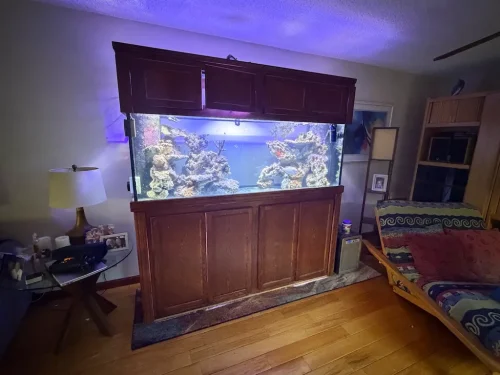 11-Aquariums-Image