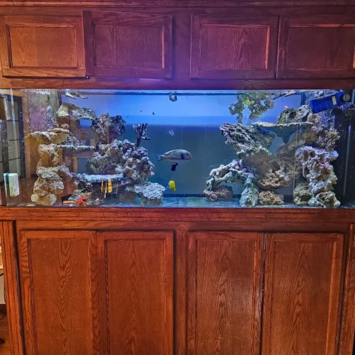 12-Aquariums-Image
