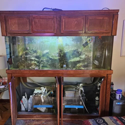 13-Aquariums-Image