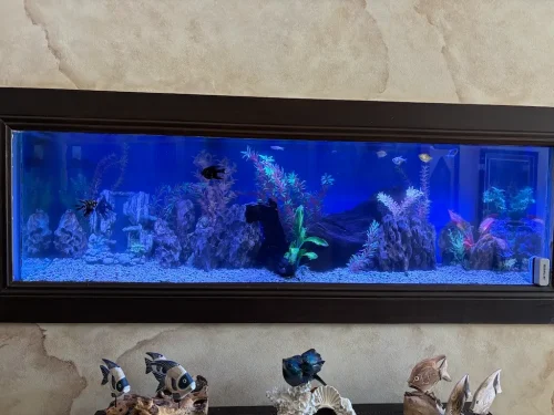 15-Aquariums-Image