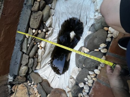 aquarium-shop-fort-lauderdale-florida-gallery-11