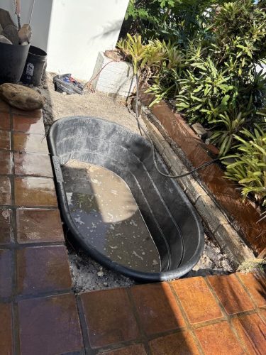 aquarium-shop-fort-lauderdale-florida-gallery-13