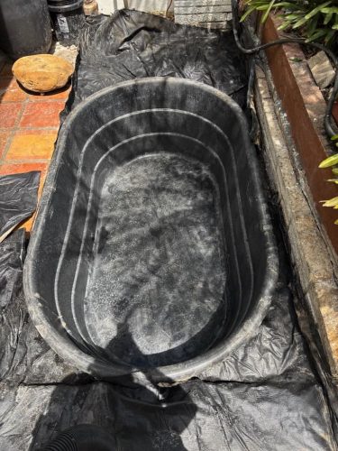 aquarium-shop-fort-lauderdale-florida-gallery-14