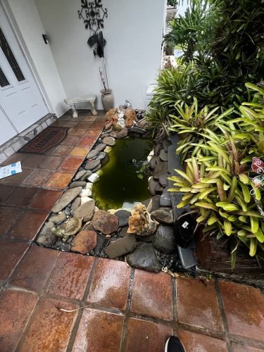 aquarium-shop-fort-lauderdale-florida-gallery-16