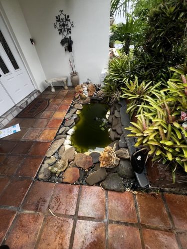 aquarium-shop-fort-lauderdale-florida-gallery-17