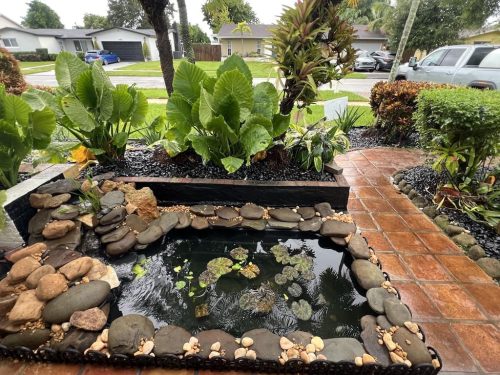 aquarium-shop-fort-lauderdale-florida-gallery-18