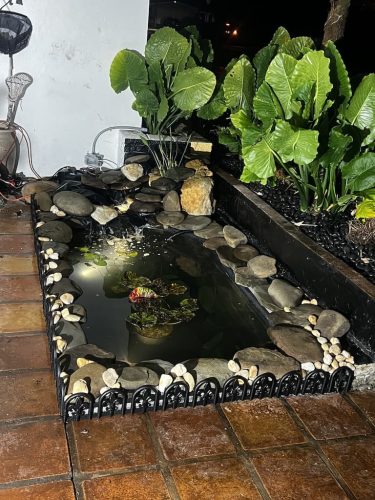 aquarium-shop-fort-lauderdale-florida-gallery-19