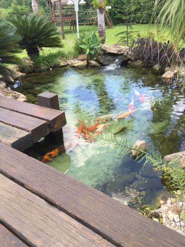 aquarium-shop-fort-lauderdale-florida-gallery-3