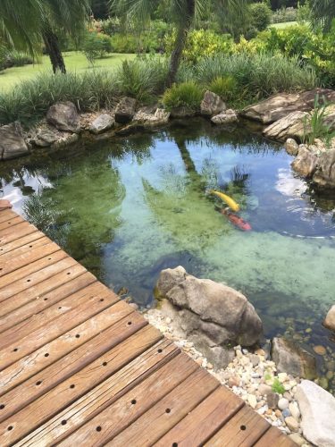 aquarium-shop-fort-lauderdale-florida-gallery-4