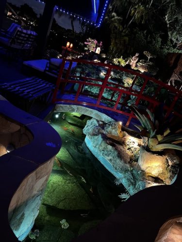 aquarium-shop-fort-lauderdale-florida-gallery-8